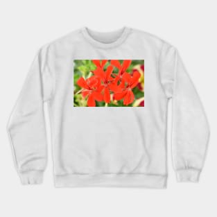 Ivy-leaved Pelargonium Crewneck Sweatshirt